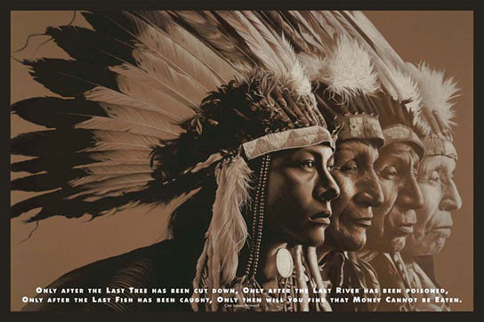 Poster NATIVE WISDOM