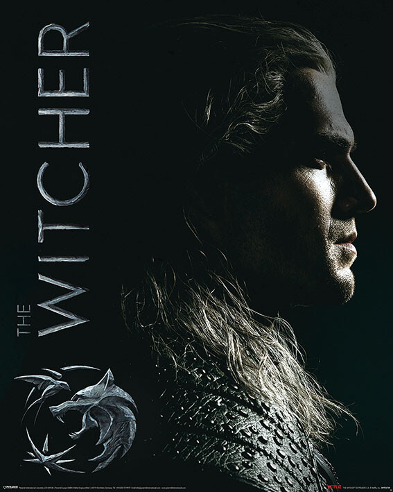 Poster The Witcher - Shadows Embrace