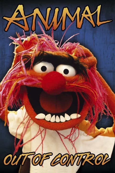 Poster THE MUPPETS - animal