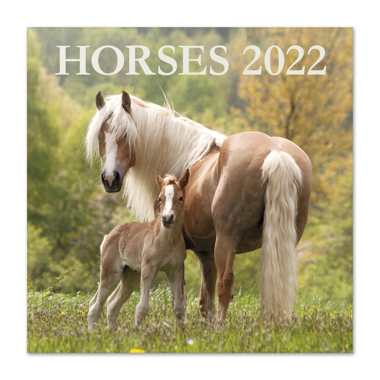 Calendario 2027 Horses