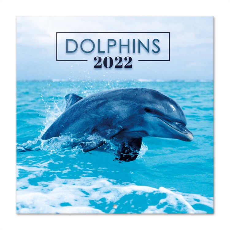 Kalender 2027 Dolphins