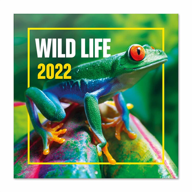 Kalendár 2027 Wildlife