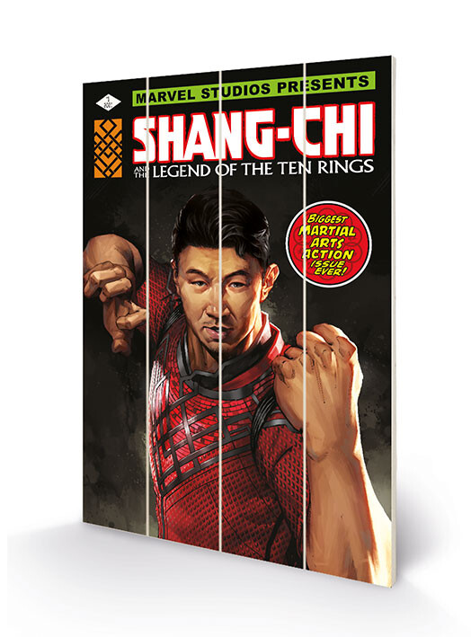 Levně Dřevěný obraz Shang Chi and the Legends of the Ten Rings - Battle Ready, 40 × 59 cm