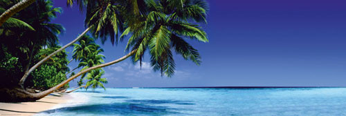 Poster Beach - paradise lost