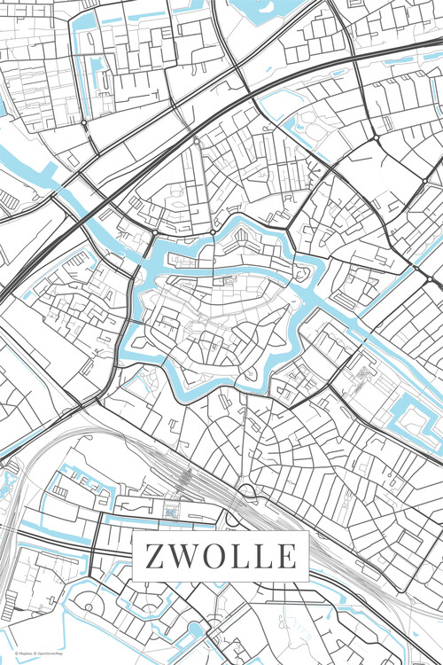 Poster Zwolle white