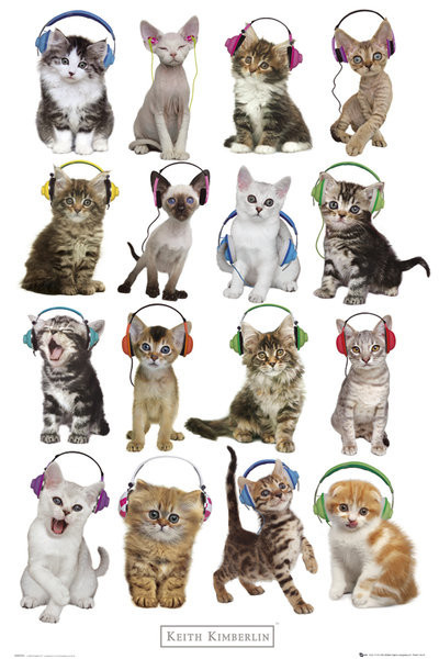 Poster Keith Kimberlin - kittens headphones