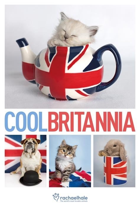 Poster Rachael Hale - cool britannia