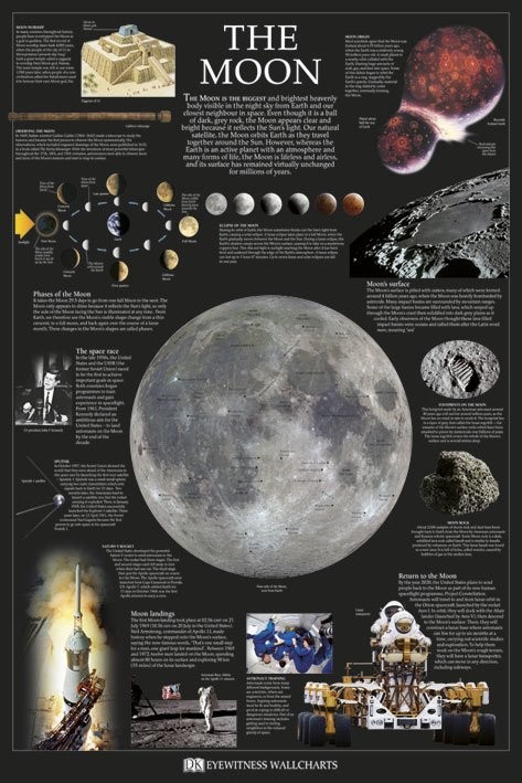 Poster The moon