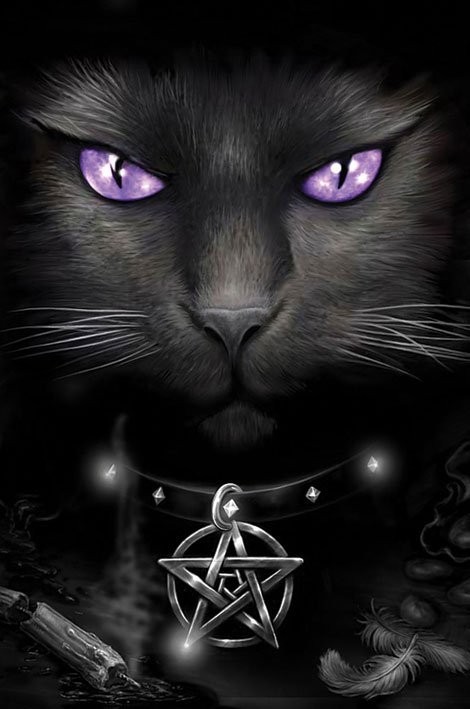 Framed Poster Magical cat