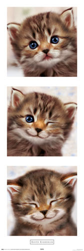 Poster Keith Kimberlin - smile face