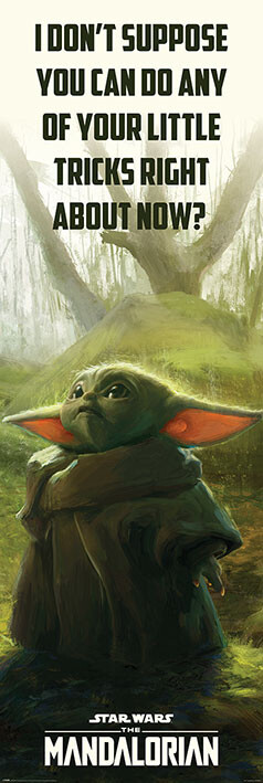 Plakát, Obraz - Star Wars: The Mandalorian - Special Tricks, (53 x 158 cm)