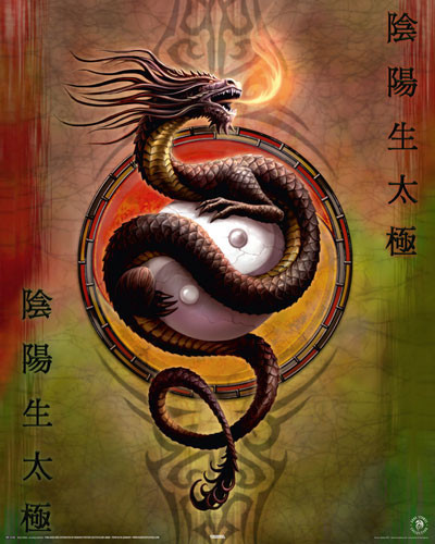 Poster ANNE STOKES - yin yang protect