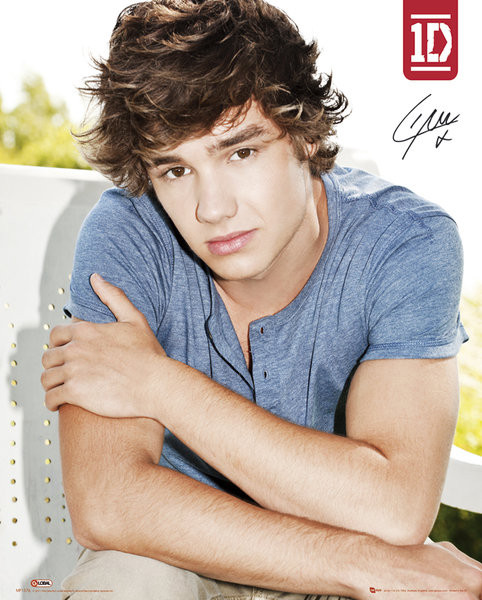 Poster ONE DIRECTION - liam