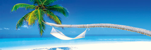 Poster Beach - Hammock morning