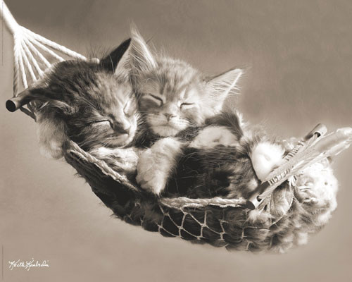 Poster KEITH KIMBERLIN - hammock
