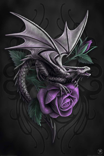 Poster Anne Stokes - dragon beauty