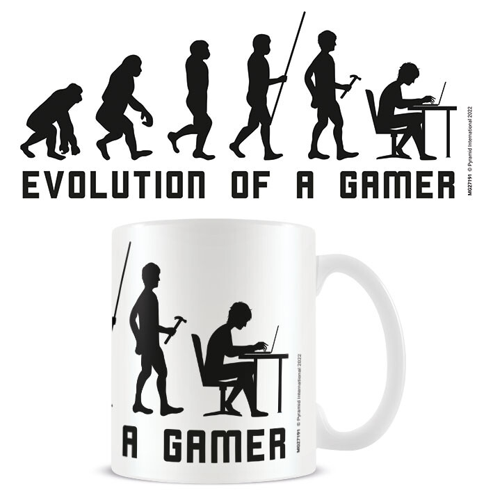 Levně Hrnek Evolution of Gamer, 0,3 l