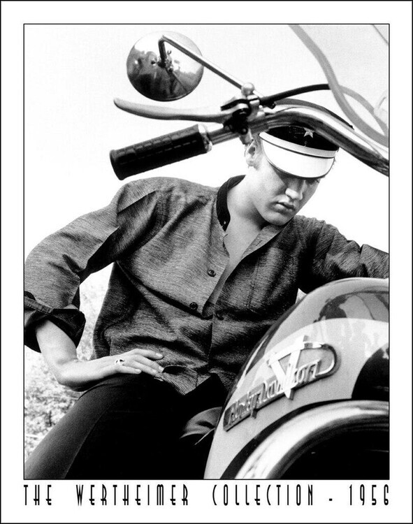 Metallschild WERTHEIMER - ELVIS PRESLEY - Harley