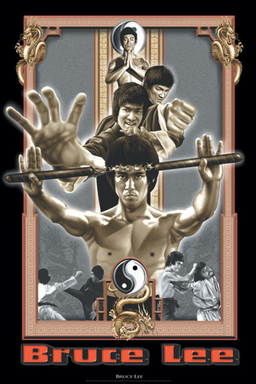 Plakát Bruce Lee - dragon's fury