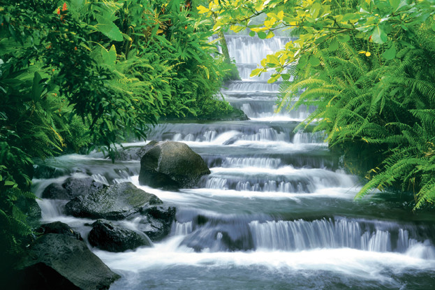 Plakát Monta Naglar - fortuna falls