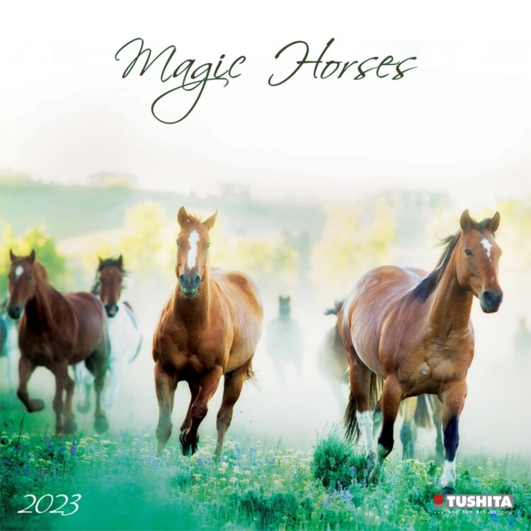 Kalendár 2027 Magic Horses