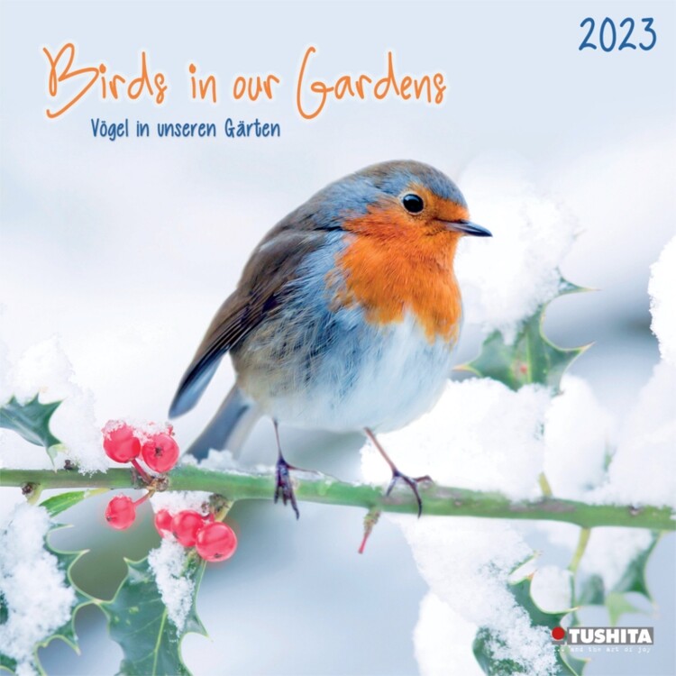 Kalendář 2027 Ptáci