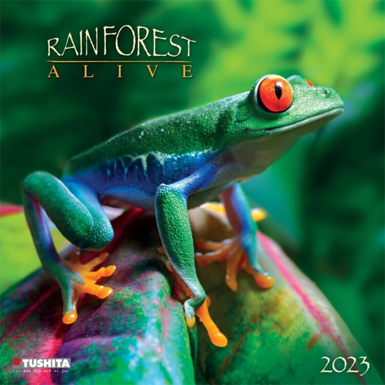 Calendrier 2027 Rainforest Alive