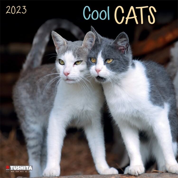 Calendrier 2027 Cool Cats
