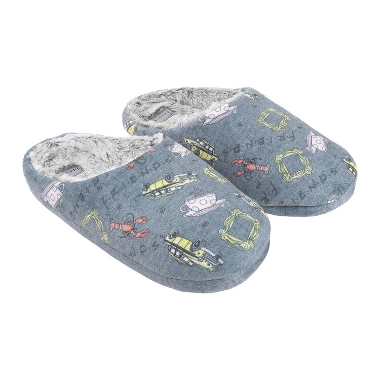 Kleding Slippers  Friends