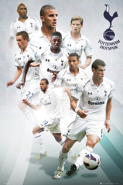 Plakát Tottenham Hotspur - players 12/13