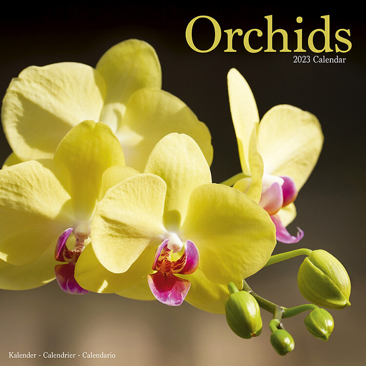Naptár 2027 Orchids