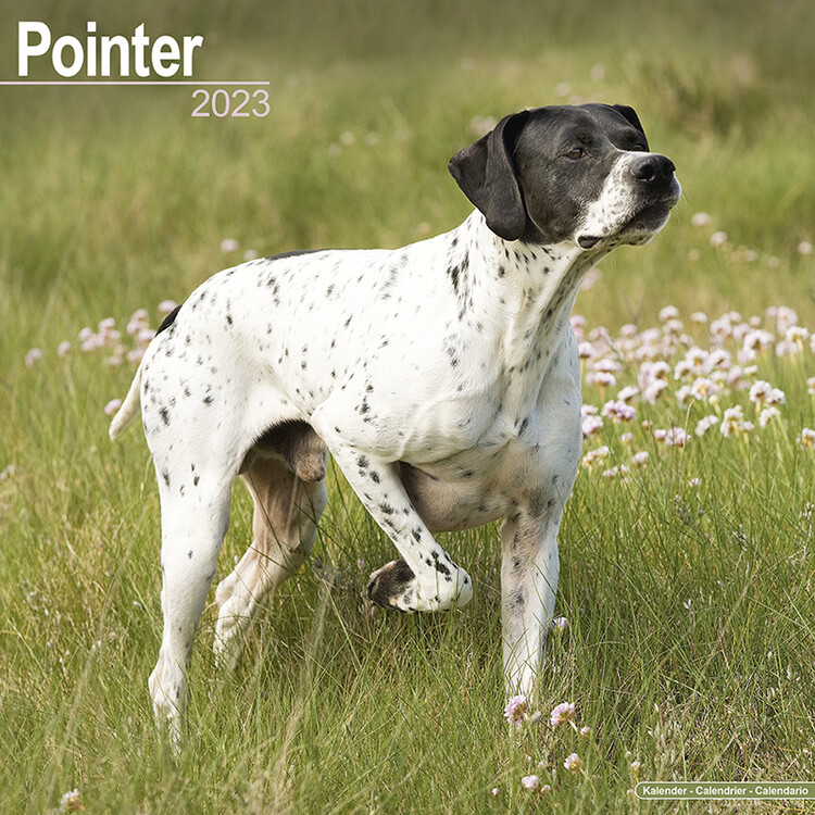Calendrier 2027 Pointer