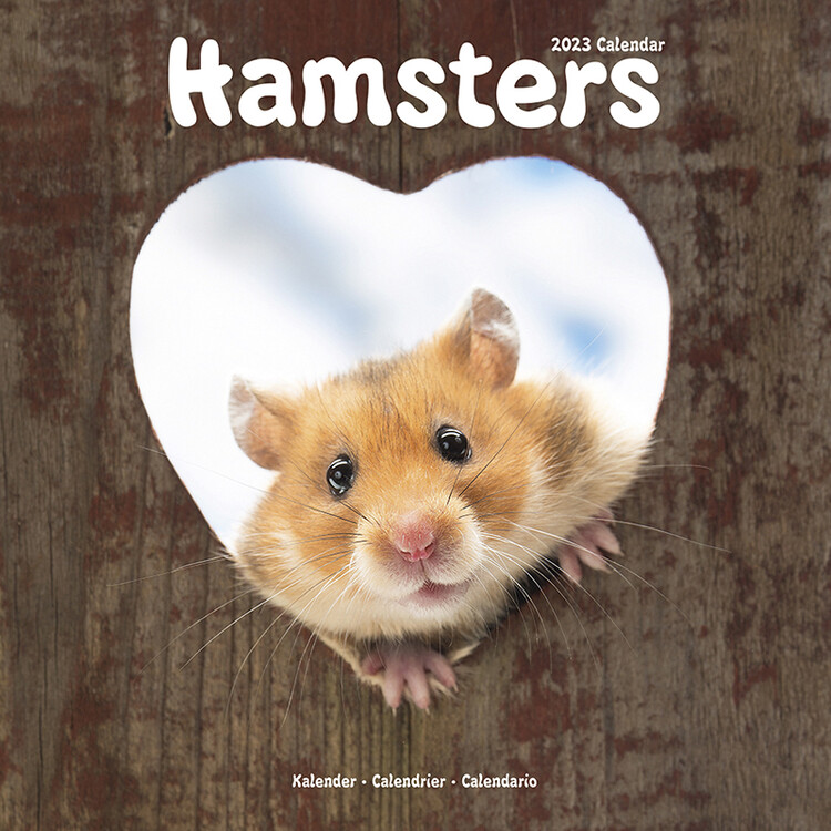 Kalender 2027 Hamsters