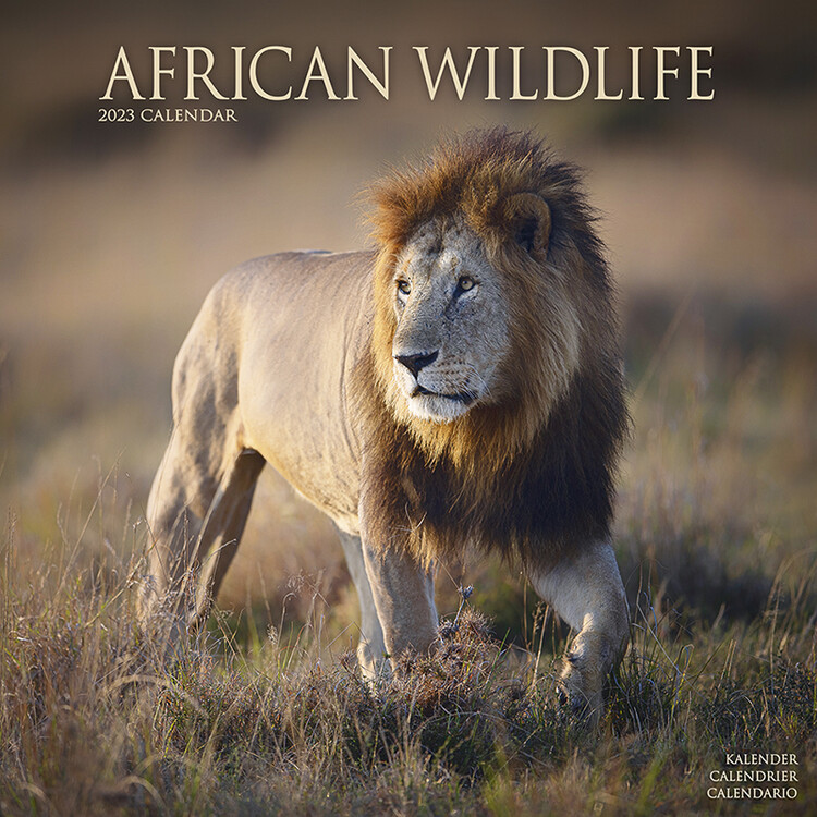 Calendario 2027 African Wildlife