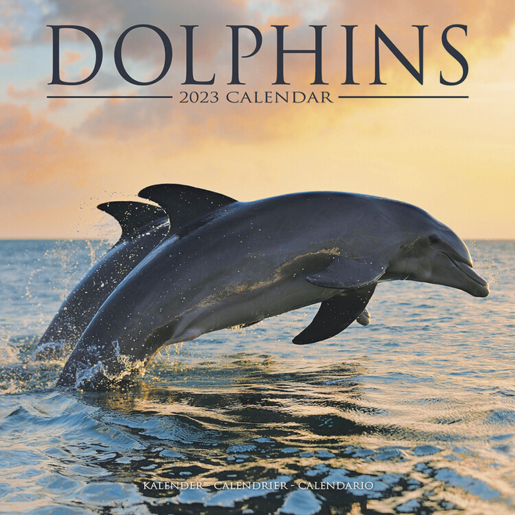 Calendrier 2027 Dolphins