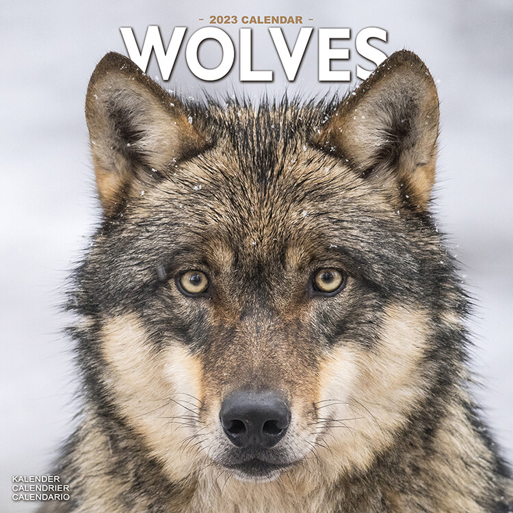 Calendario 2027 Wolves
