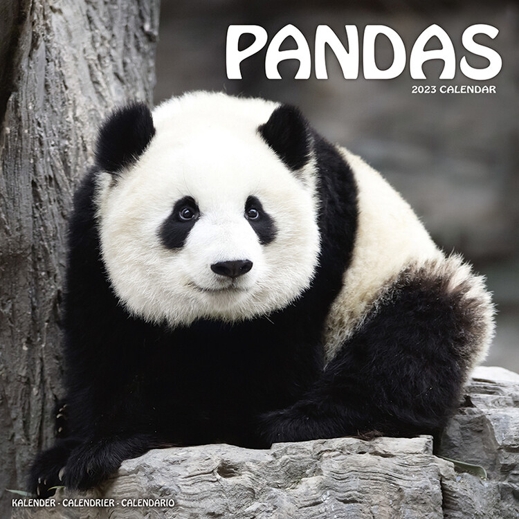 Kalender 2027 Pandas