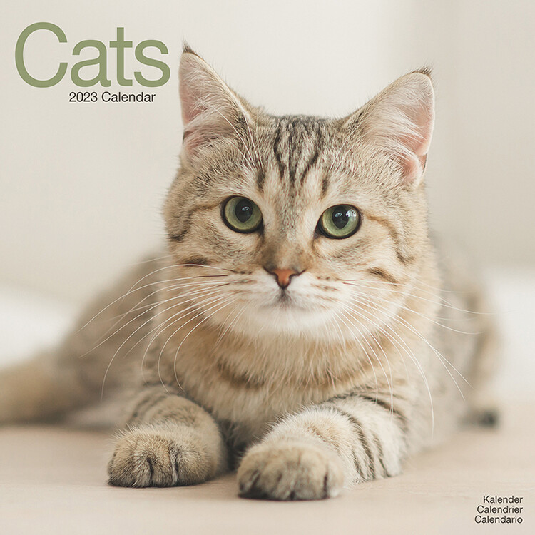 Calendrier 2027 Cats
