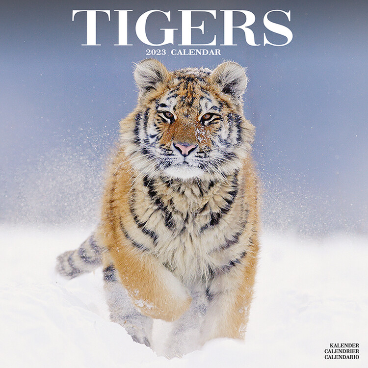 Kalendár 2027 Tigre