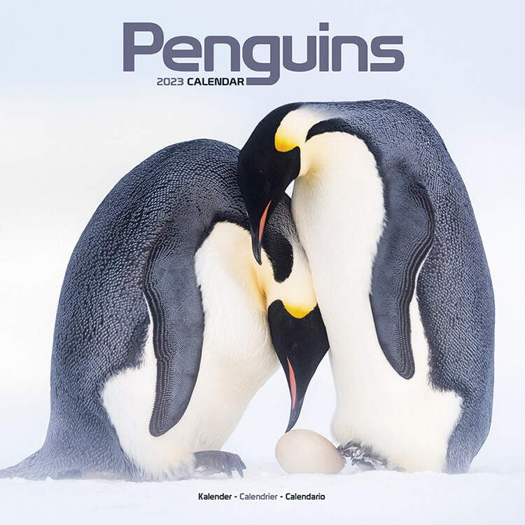 Kalender 2027 Penguins