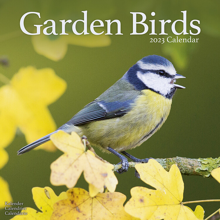 Kalender 2027 Garden Birds