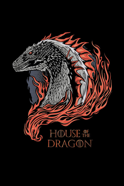 Plakát, Obraz - House of Dragon - Dragon in Fire, 26.7 × 40 cm