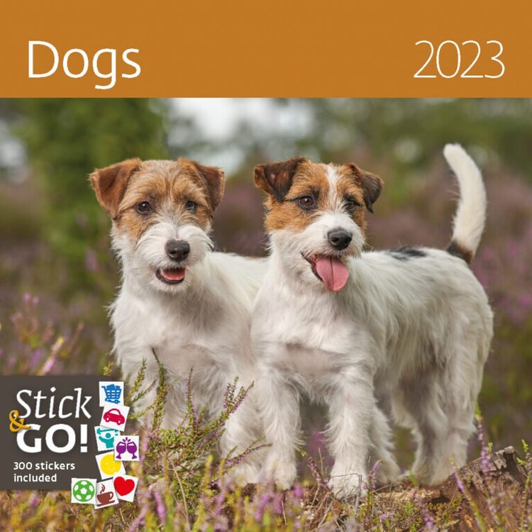 Naptár 2027 Dogs