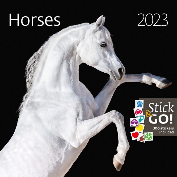 Calendario 2027 Horses