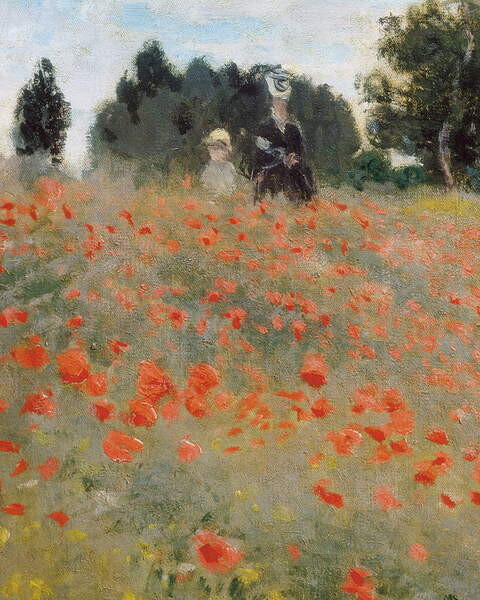 Obrazová reprodukce Poppies, Monet, Claude, 30x40 cm