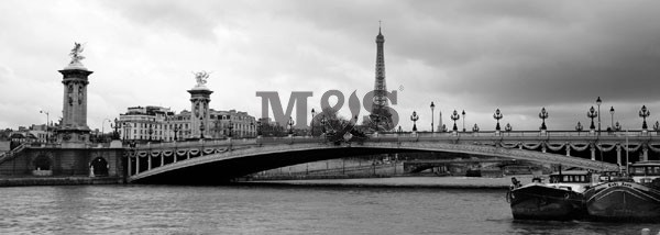 Művészeti nyomat Pont Alexandre & Eiffel Tower
