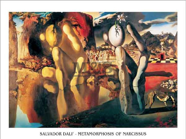 Umělecký tisk Metamorphosis Of Narcissus