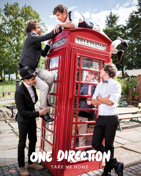Poster One Direction - take me home