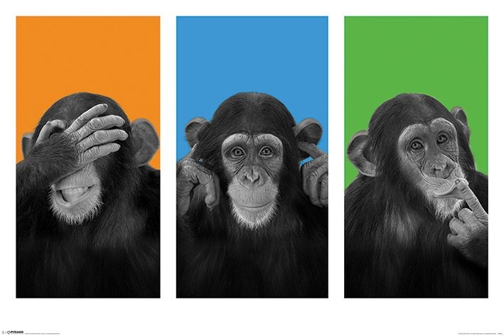 Plakát Wildside - see no evil, hear no evil, speak no evil