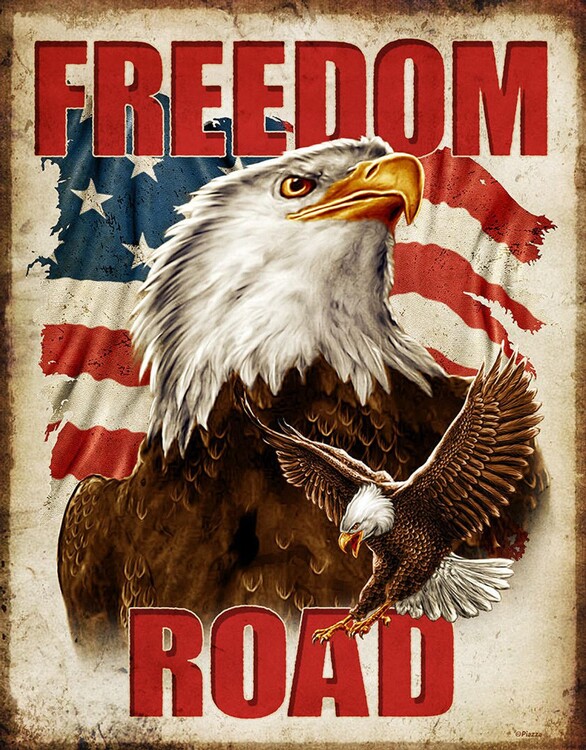 Metallschild Freedom Road Eagle